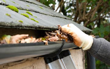 gutter cleaning Welshpool, Powys