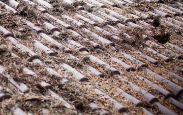 Welshpool roof cleaning companies