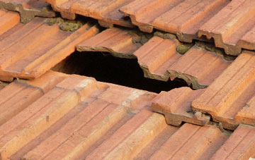roof repair Welshpool, Powys