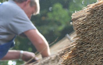 professional Welshpool thatchers